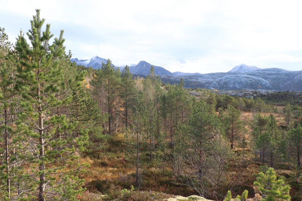 Sjunkhatten National Park, Norway