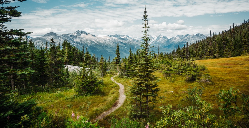Skagway Ranges, Canada