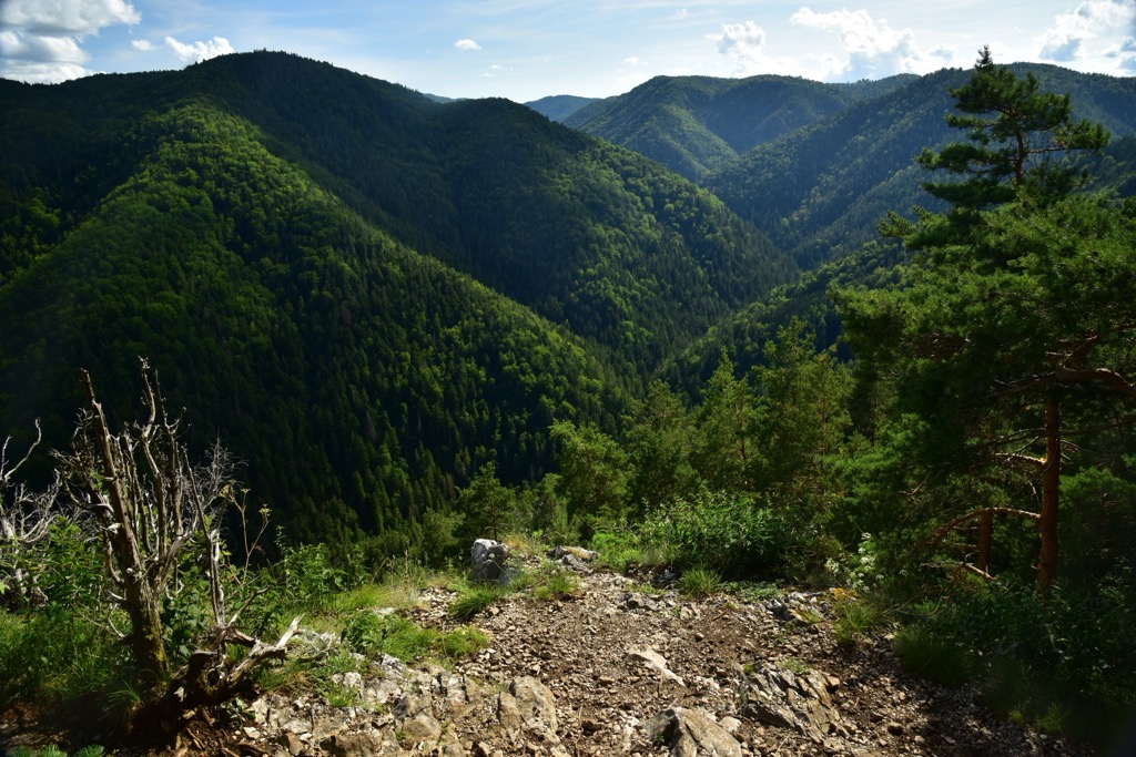 Slovak Paradise Range forest, Slovakia