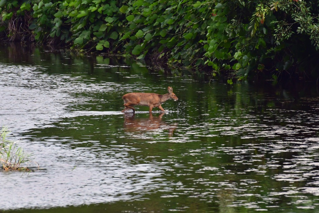 Sobaek Mountains, South Korea