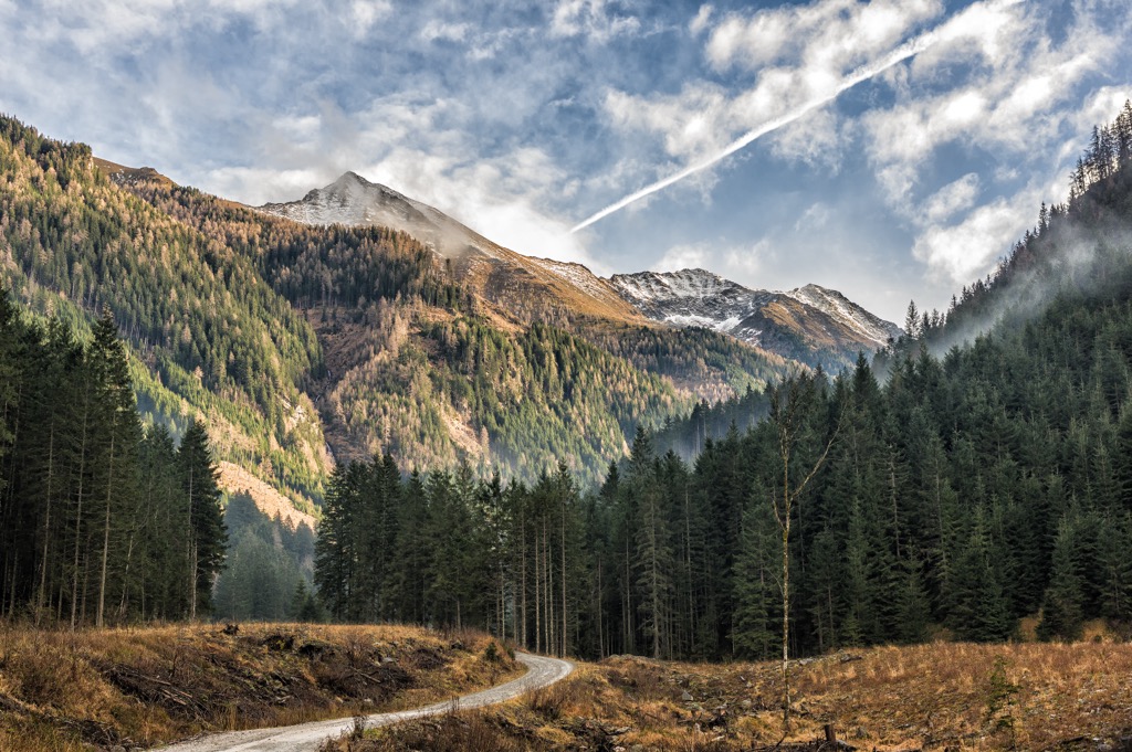 Goldene Lärchen zwischen Fichten an einer kurvigen Straße im Naturpark Sölktäler, Steiermark