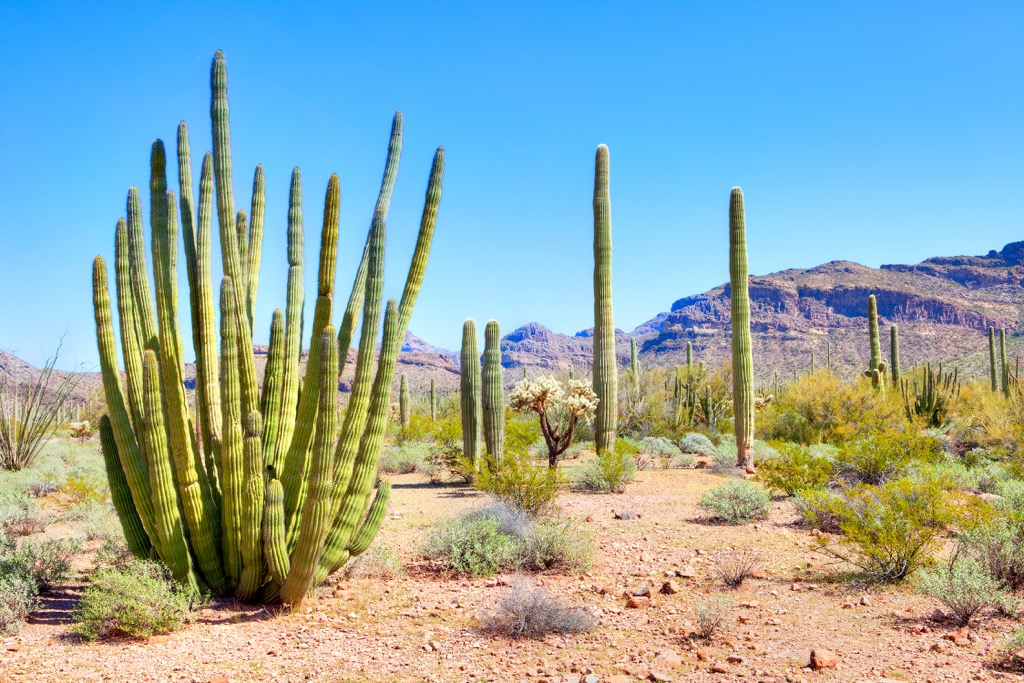 Peak, Sonoran Desert National Monument, Arizona