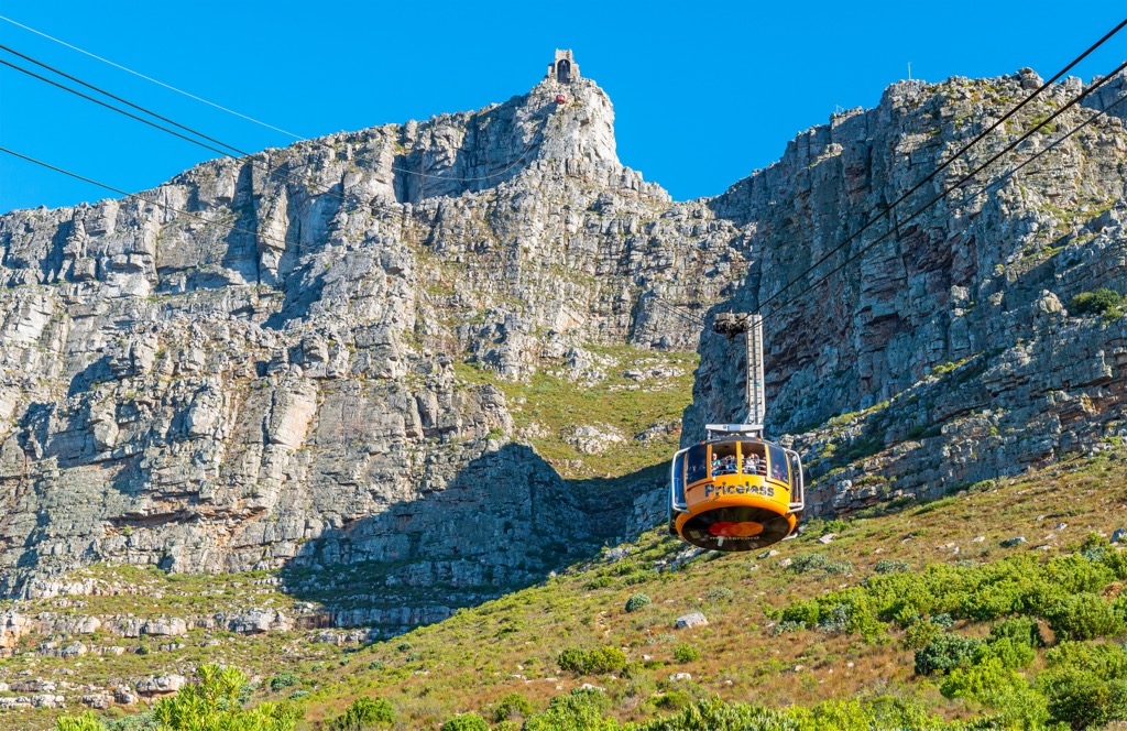 Take in South Africa From Table Mountain National Park, Travel