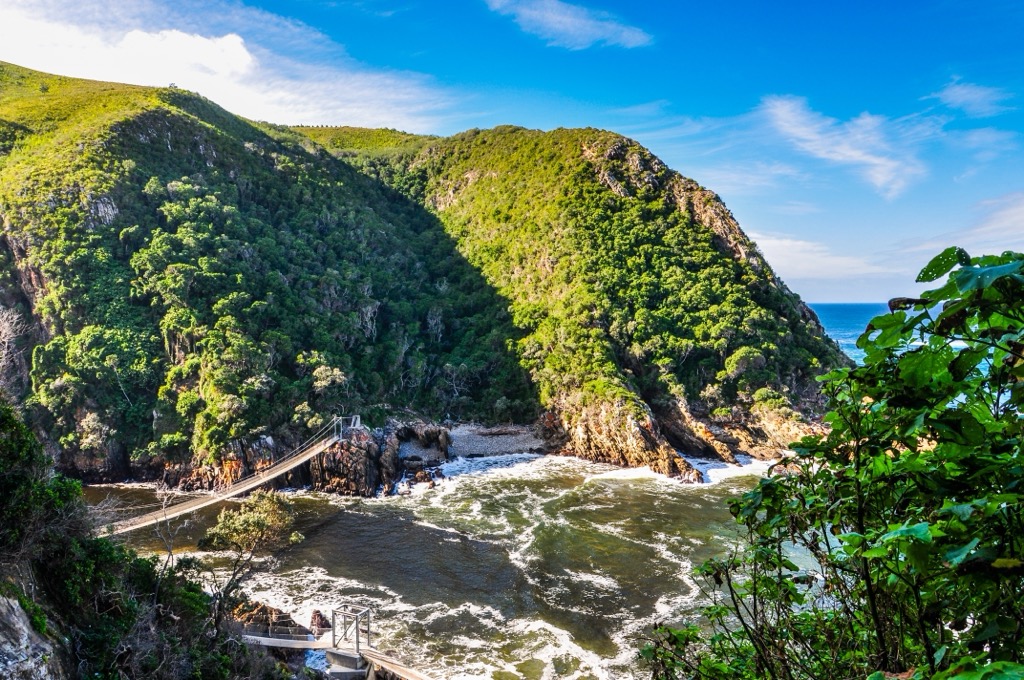 Best hiking. A pedestrian suspension footbridge for hikers at Tsitsikamma National Park along the Garden Route