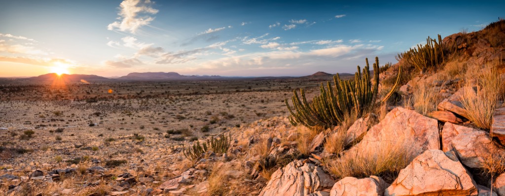 Kalahari desert, South Africa