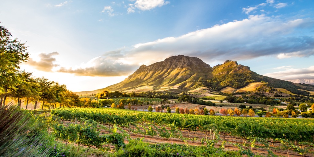 Stellenbosch, Table Mountain National Park, South Africa