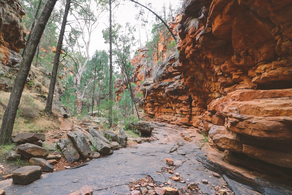 Alligator Gorge. South Australia