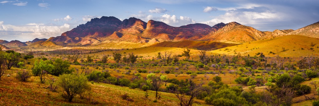 The Flinders Ranges. South Australia