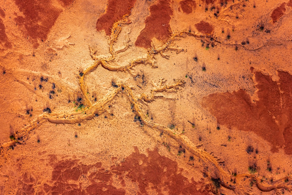 An aerial view of a dry creek bed in the Simpson Desert. South Australia