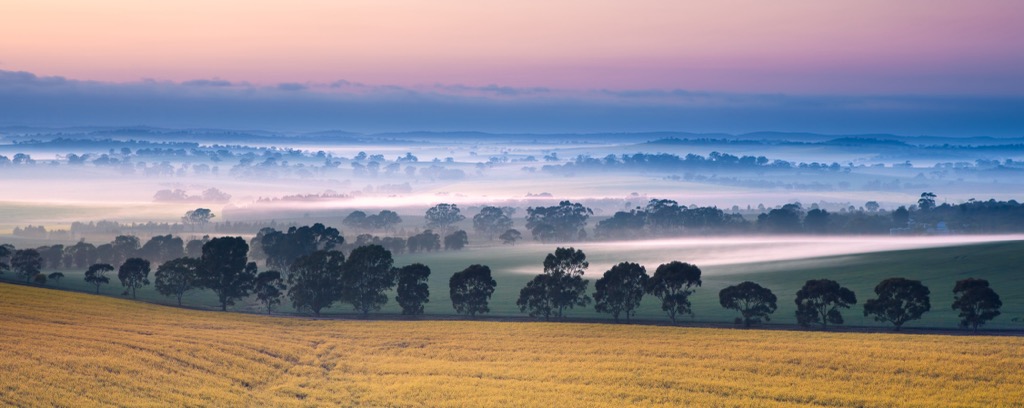 Pastureland in Clare Valley. South Australia