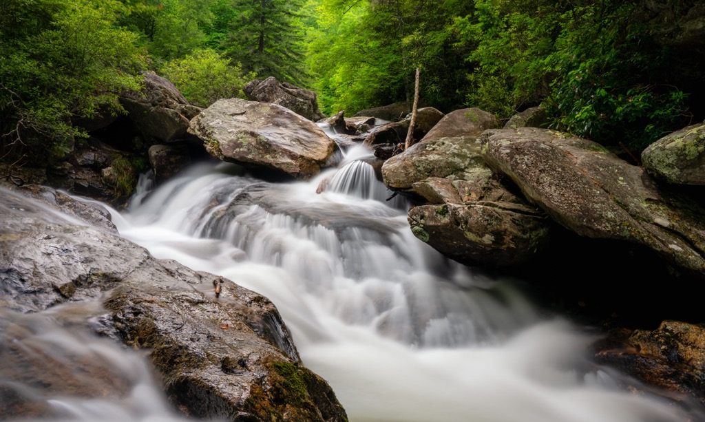South Mountain Gameland, North Carolina
