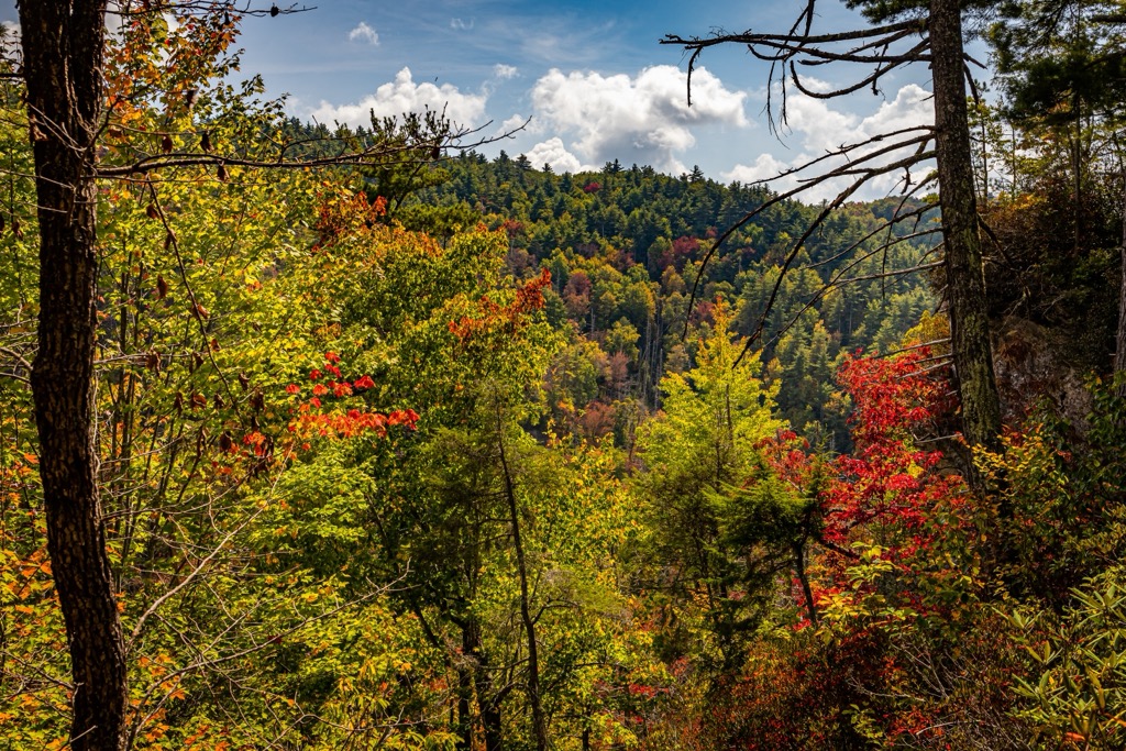 South Mountains State Park, North Carolina
