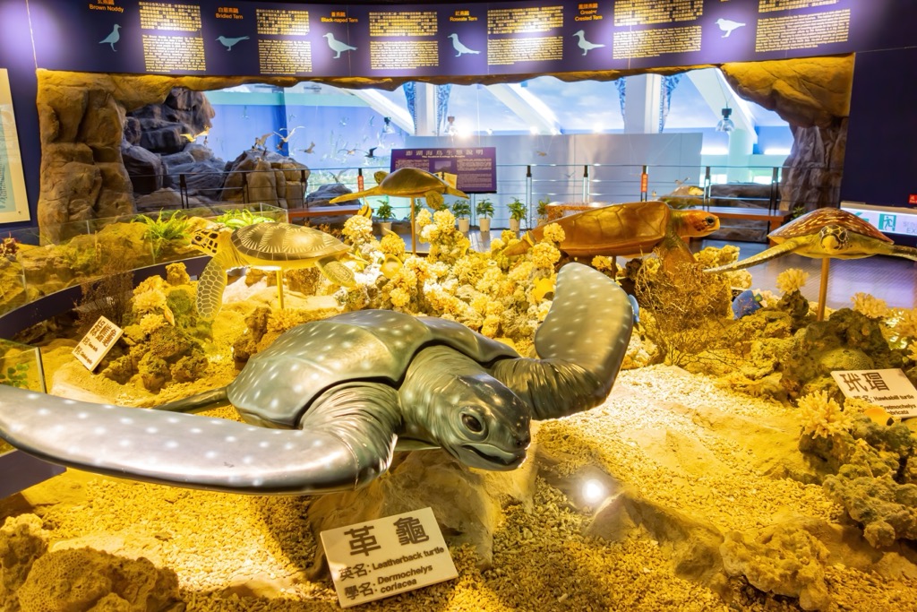 Turtle Tourism and Conservation Center, Penghu  Taiwan