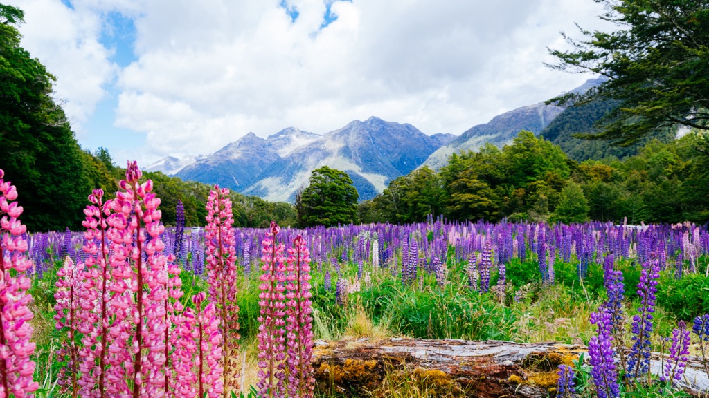 Fiordland National Park, Southern Alps, New Zealand
