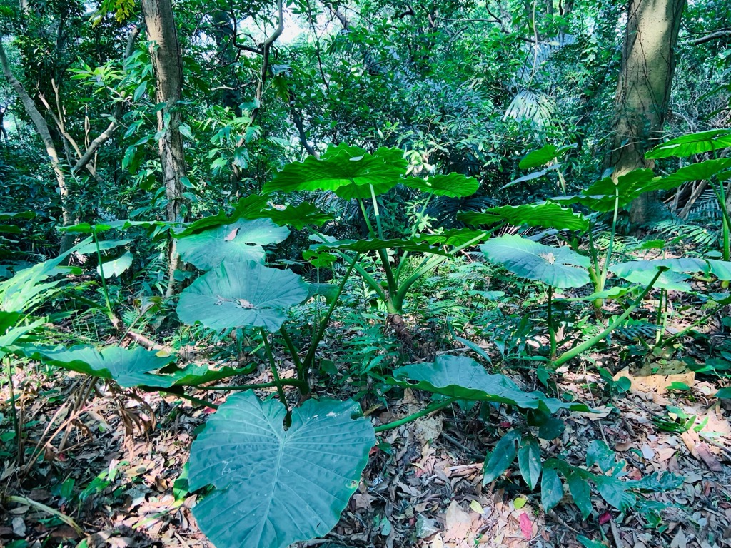 Special Road Landscape Area, Taiwan