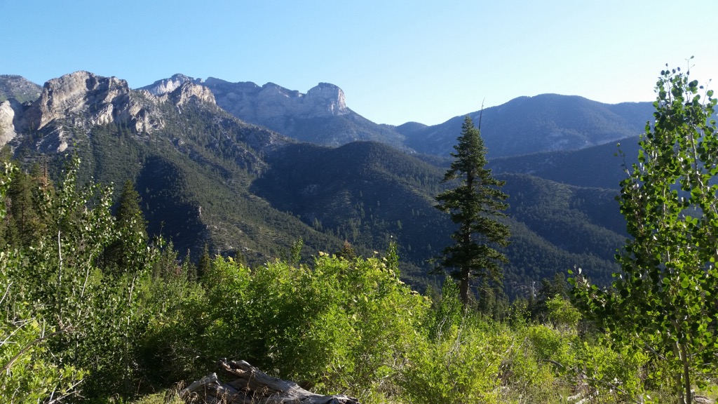Spring Mountains National Recreation Area, Nevada