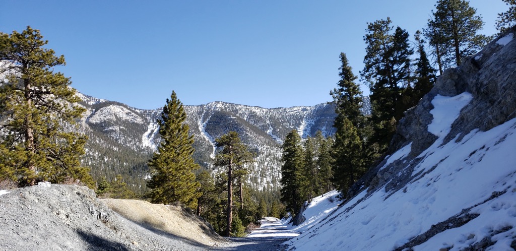 Spring Mountains National Recreation Area, Nevada