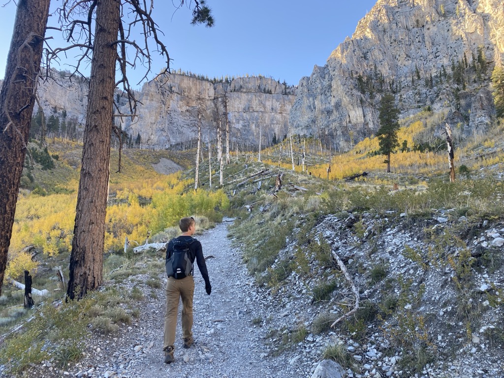 Spring Mountains National Recreation Area, Nevada