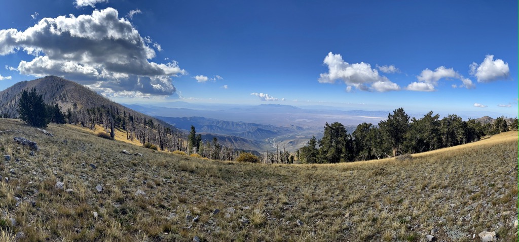 Spring Mountains National Recreation Area, Nevada