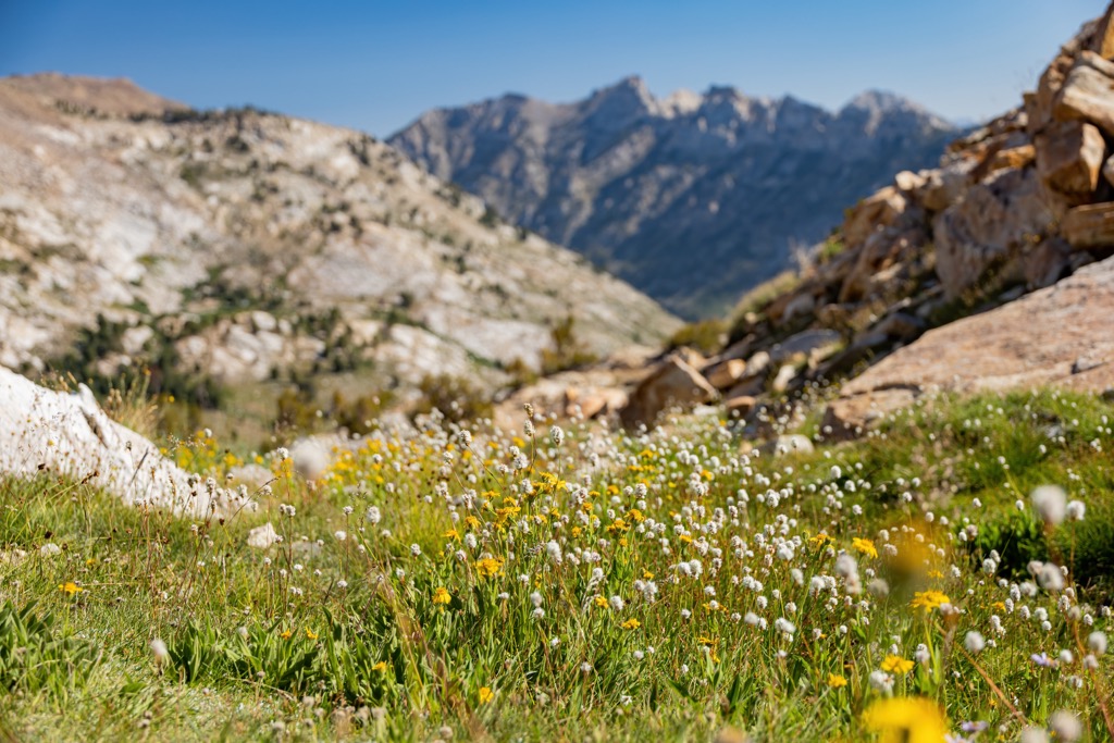 Spring Mountains National Recreation Area, Nevada