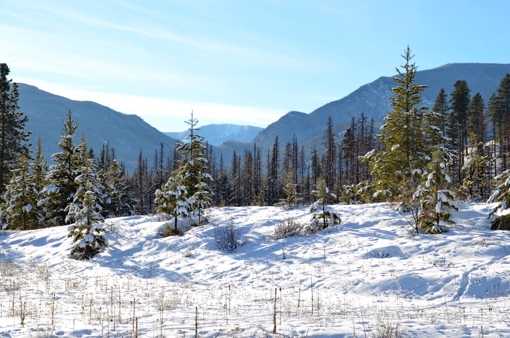 St. Mary’s Alpine Provincial Park, British Columbia