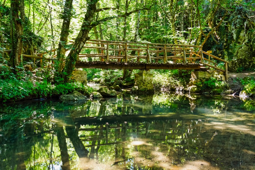Mladejka River, Strandzha Natural Park, Bulgaria and Turkey