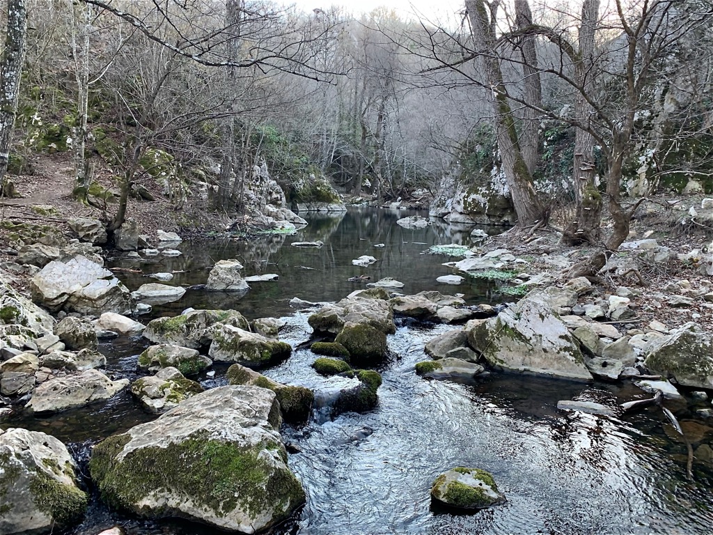 winter, Strandzha Natural Park, Bulgaria and Turkey