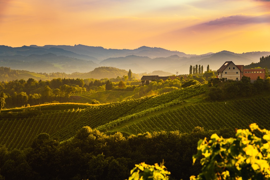 The famous vineyards of southern Styria, which, in contrast to the mountainous regions, feature a mild Mediterranean climate. Styria