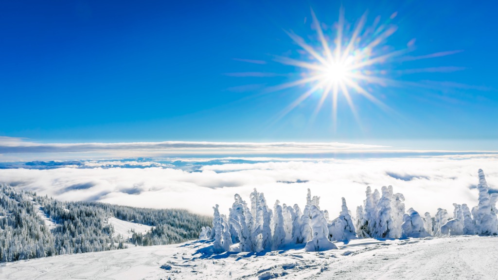 More open terrain greets skiers as they ascend higher up the mountain. Sun Peaks Ski Resort 