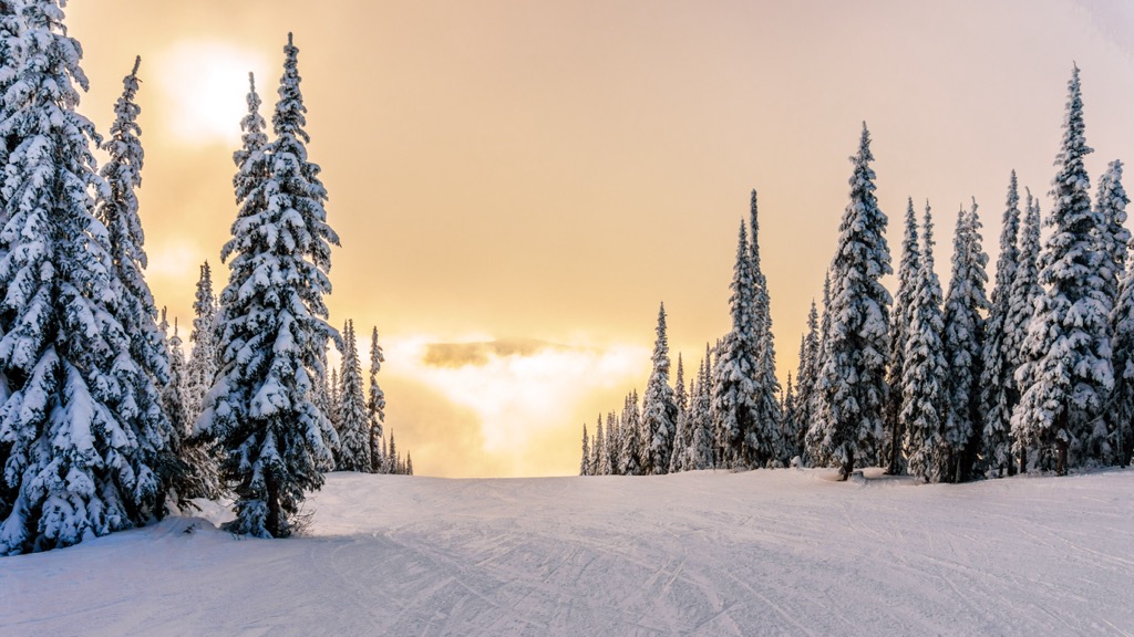 The sun breaking through the fog at Sun Peaks Ski Resort. Sun Peaks Ski Resort 