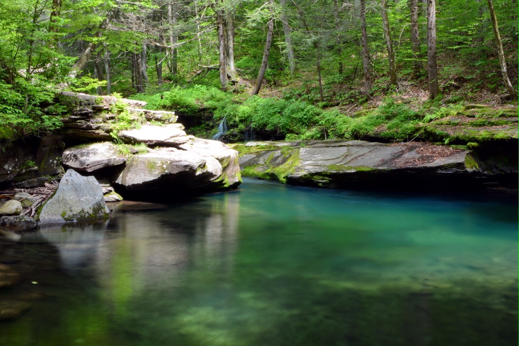 Sundown Wild Forest, New York