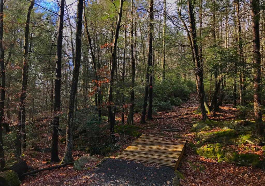Sundown Wild Forest, New York