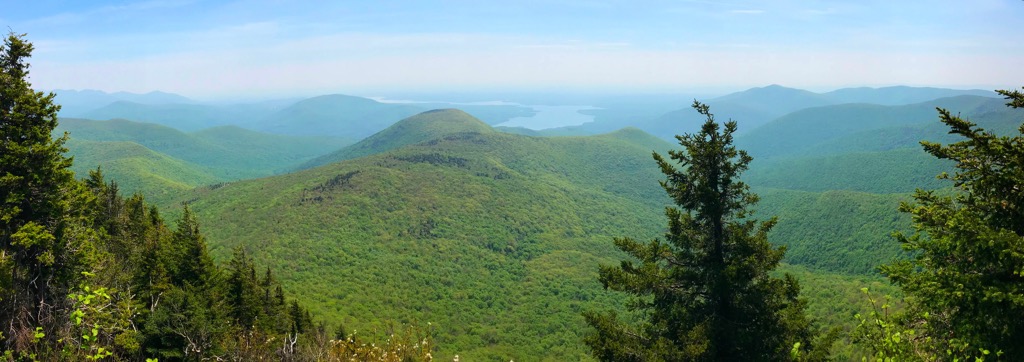 Sundown Wild Forest, New York