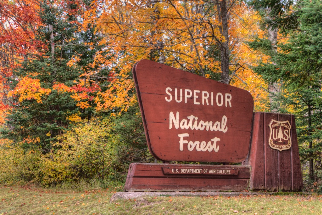  Superior National Forest, Minnesota