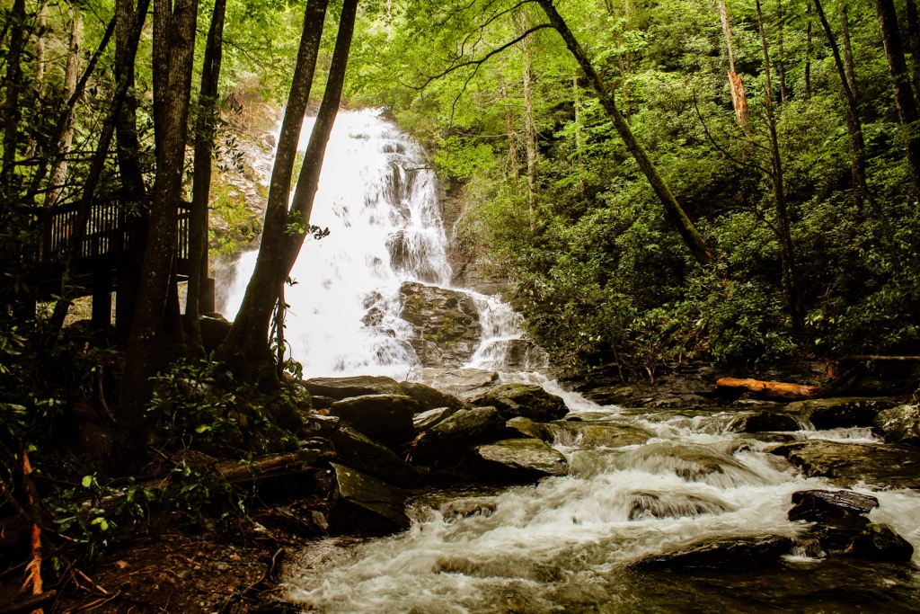 Swallow Creek Wildlife Management Area, Georgia