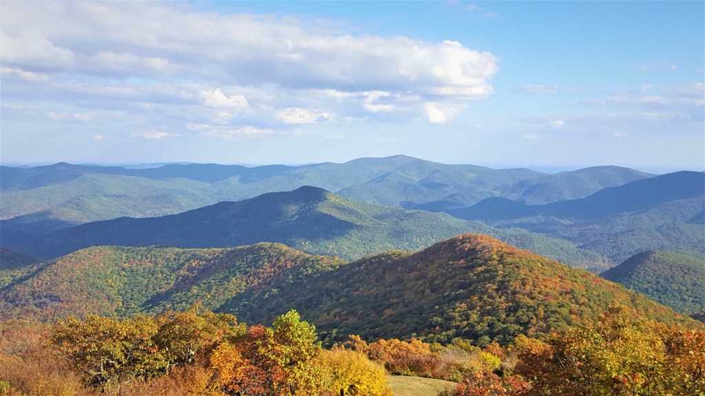 Swallow Creek Wildlife Management Area