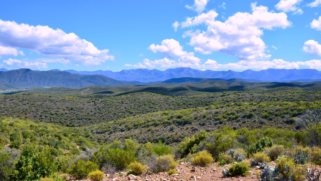 from Oudtshoorn, Swartberg Mountain Range, South Africa