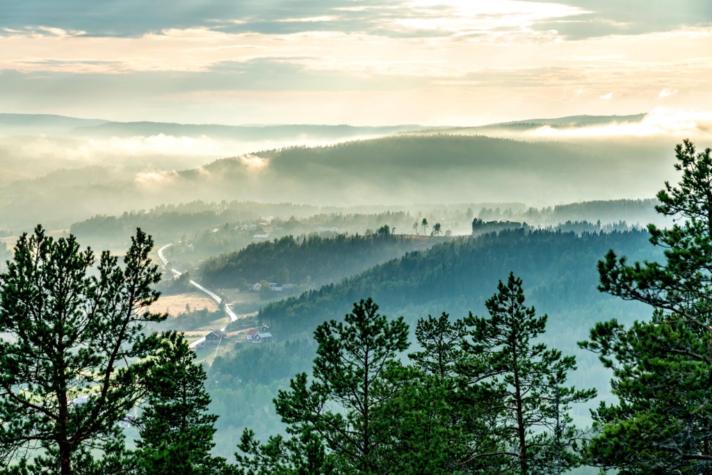 lower Scandinavia Mountains, Sweden