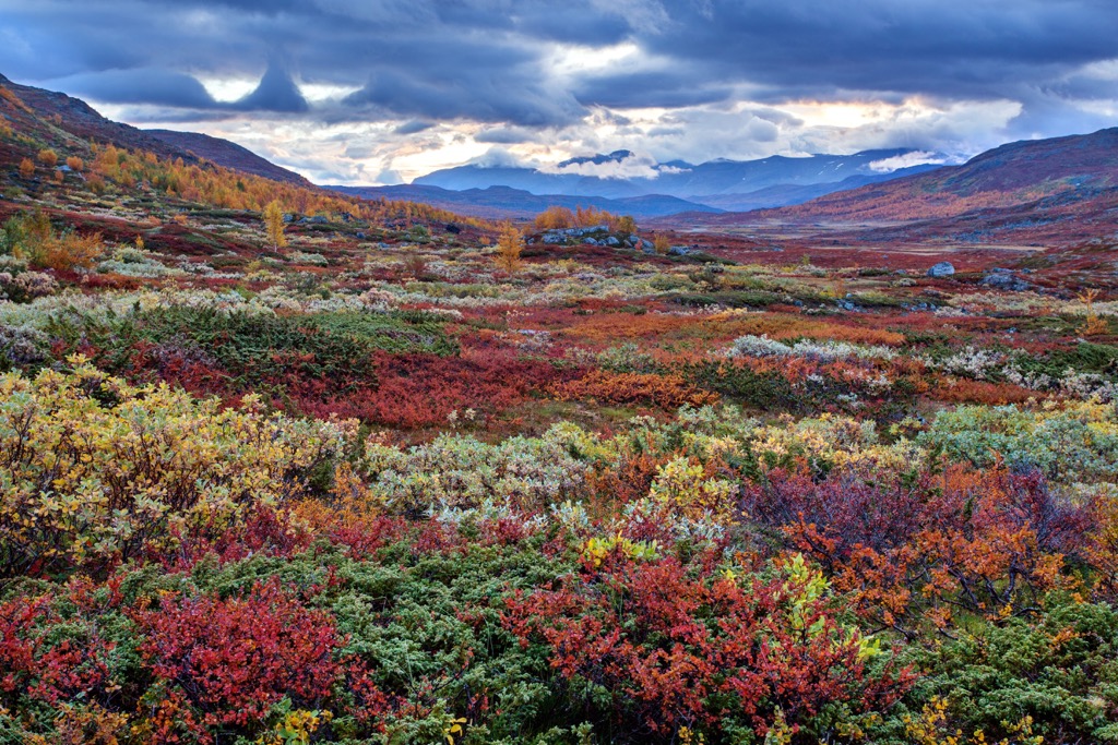 Sweden Mountains