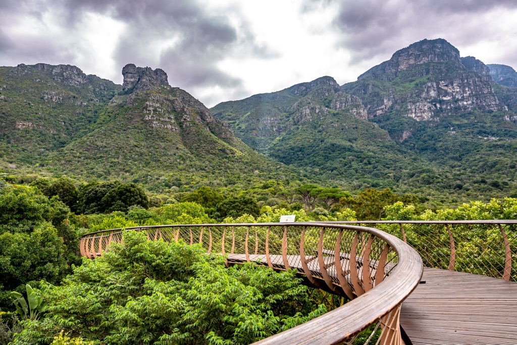 Kirstenbosch National Botanical Gardens, Table Mountain National Park, South Africa