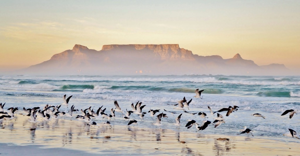 Table Mountain National Park, South Africa