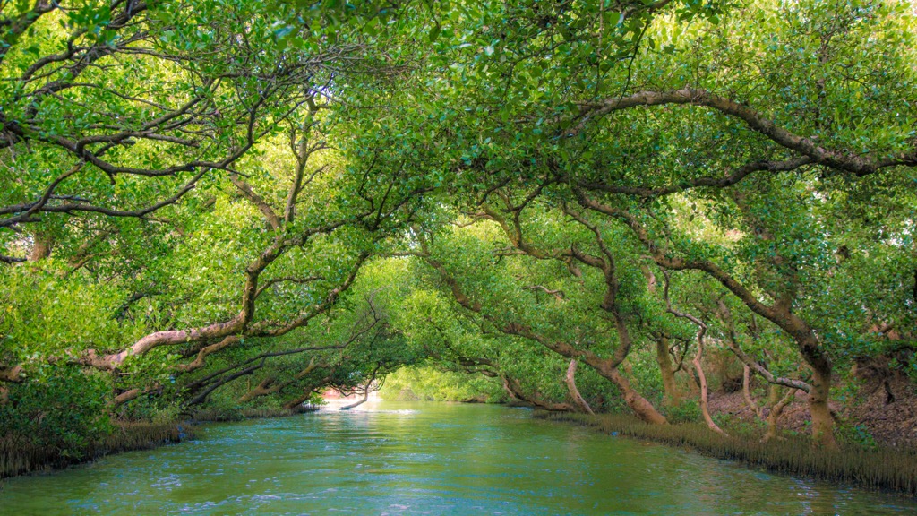 Tainan City Mountains, Taiwan