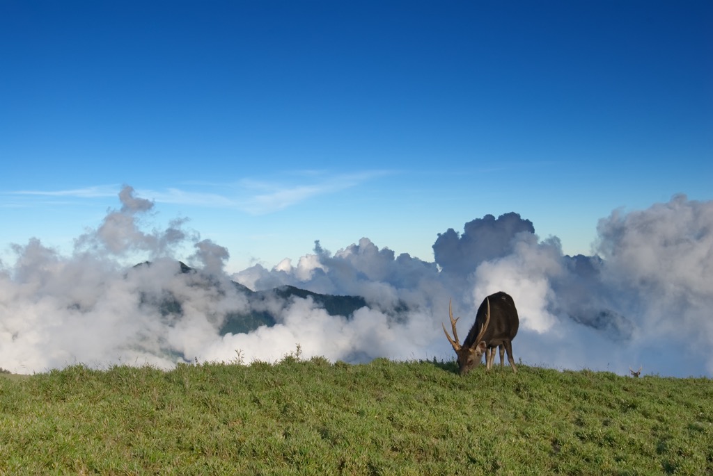 Tainan City Mountains, Taiwan