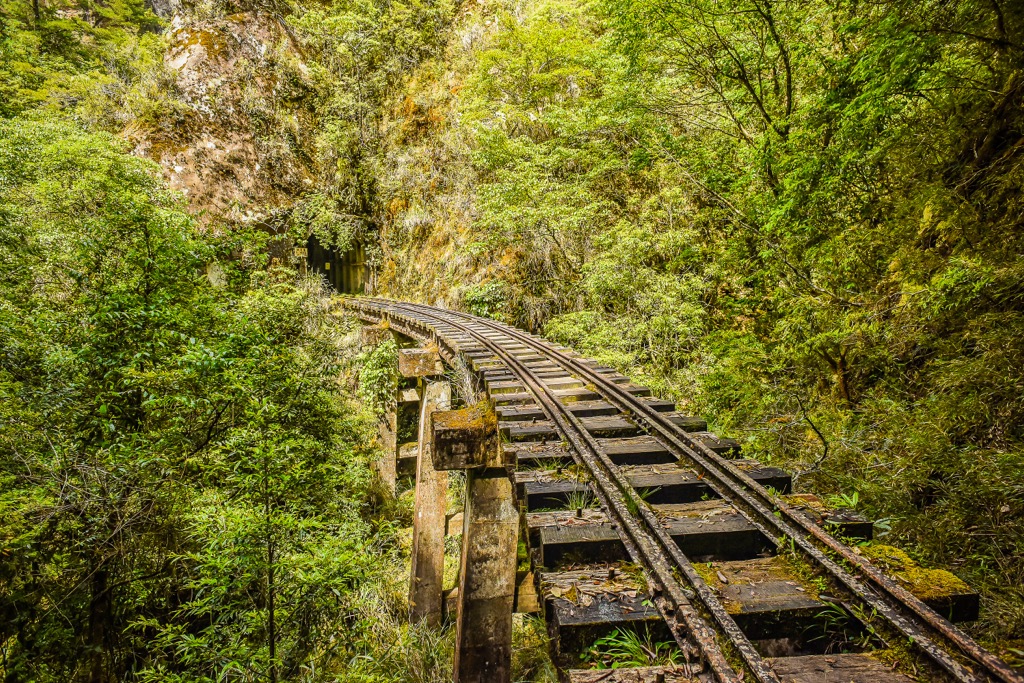 Mianyue Line, Taiwan Pleione Nature Reserve