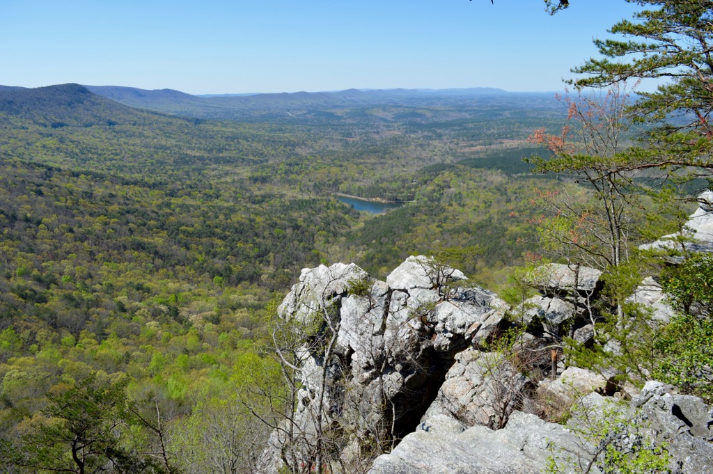 Talladega National Forest (Shoal Creek District)