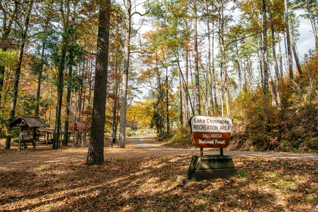 Cheaha SP, Talladega National Forest, Alabama