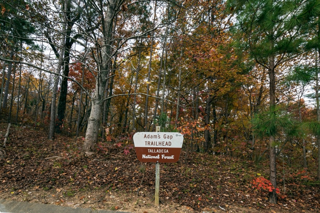 Cheaha SP, Talladega National Forest, Alabama