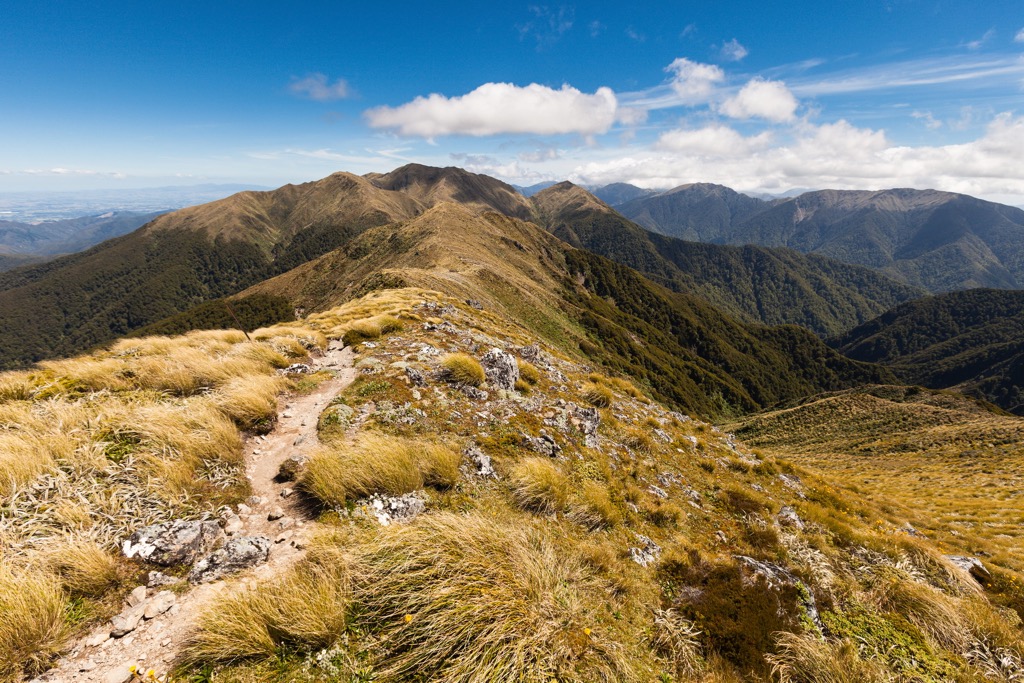 Mount Holdsworth Jumbo Circuit, Tararua-Range