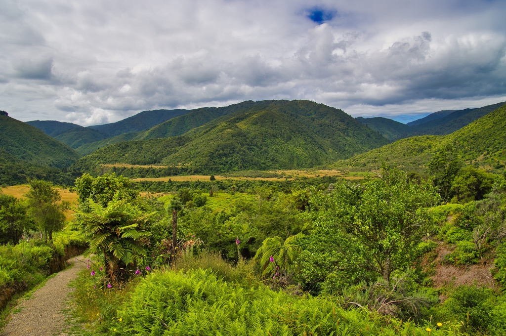 Otaki Forks. Tararua-Range