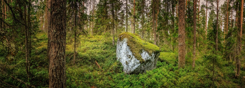glacial-erratic. Tararua-Range